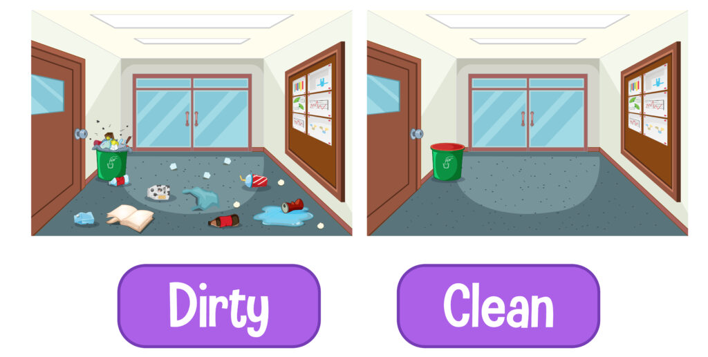 house clean before after
